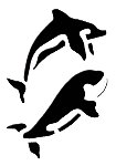 3D-Schablonen Delphin Schwertwal Orca